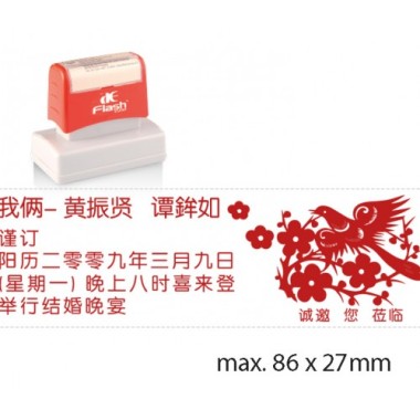 AE FLASH AN4 